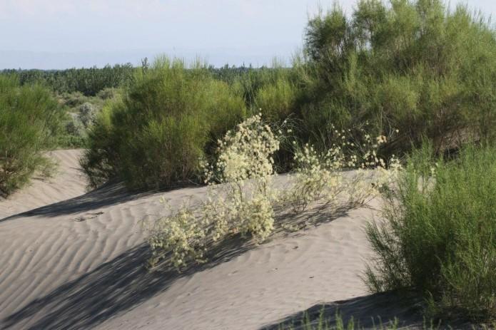 0a6226b17bb24800ec6101fe499fd0f3