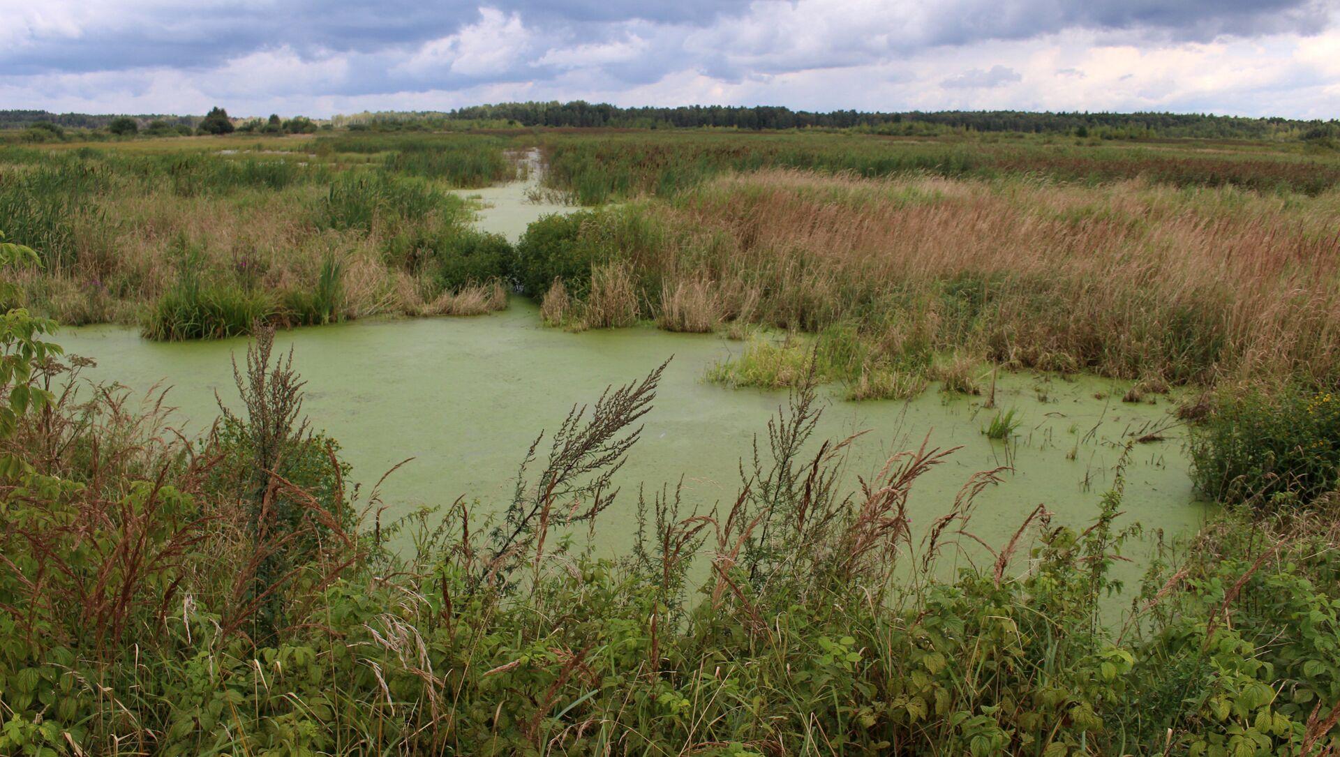 1030776197_0_76_2800_1659_1920x0_80_0_0_1649595f81bc31b8ce7e425e12604cab