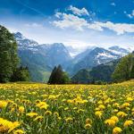 ТАБИАТ БОҒЛАРИ –ТАБИАТ МЎЪЖИЗАЛАРИ