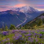 ХАЙРЛИ ҲАРАКАТ – ЯШИЛЛИККА БАРАКАТ