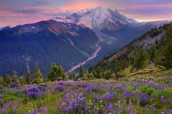 ХАЙРЛИ ҲАРАКАТ – ЯШИЛЛИККА БАРАКАТ