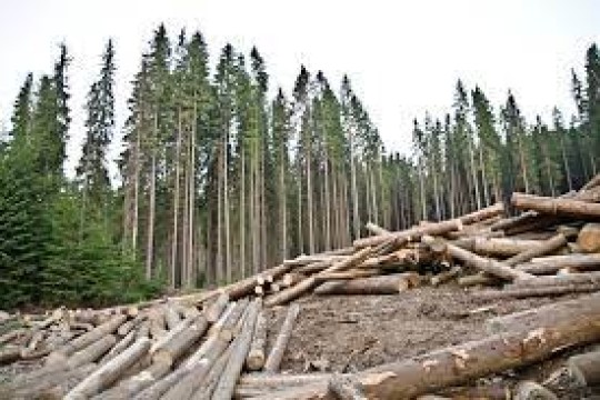 КАТТА МИҚДОРДАГИ ЙЎҚОТИШ