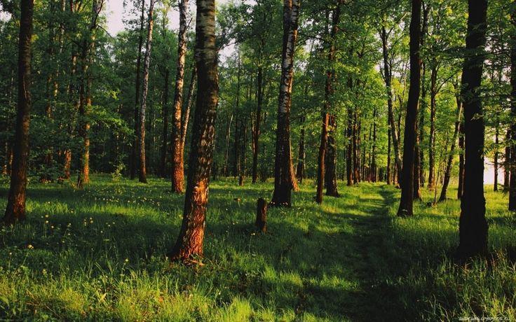 37a31a9865e5edbd4099575f1debbe05