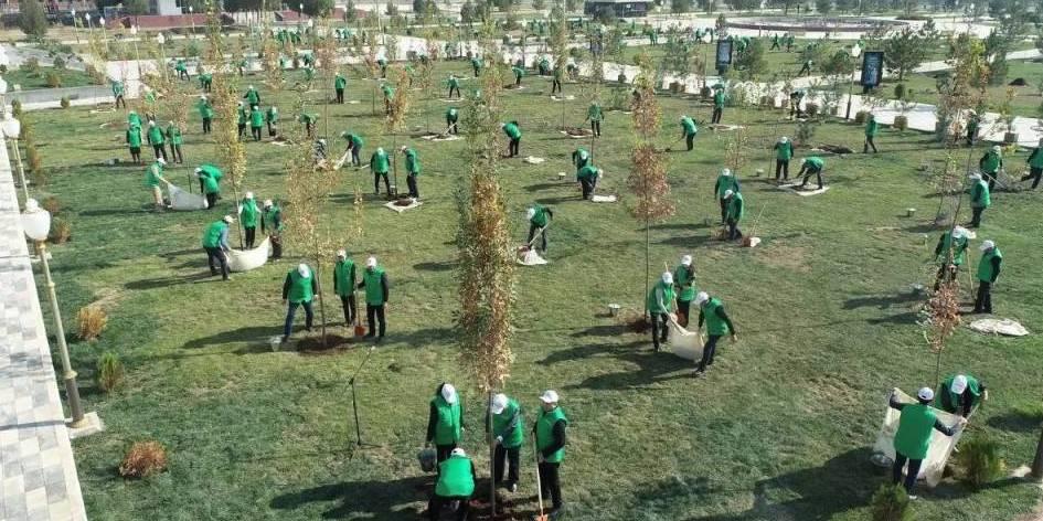 3PjjaaLm8OHhGiqb1gsXvdUzv3p2dkYB_front