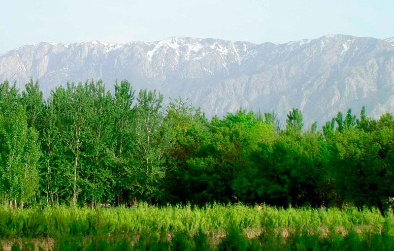 B6udyT5kiekDQSAUuqX1n_m-fL64j19d