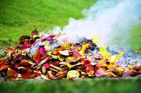 Без названия (1)-7