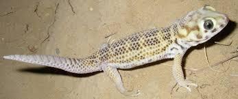 Без названия-10