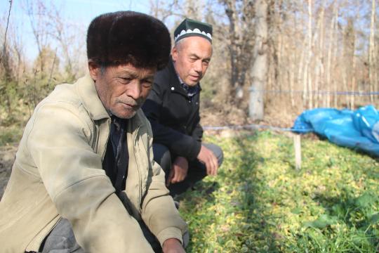 “ЯШИЛ МАКОН” – ЕЧИМ ВА ИМКОН