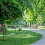 “МЕНИНГ БОҒИМ” –  УМУМХАЛҚ БОҒИ