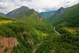 images-8