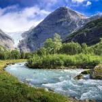 СУВ – ҲАЁТ МАНБАИ