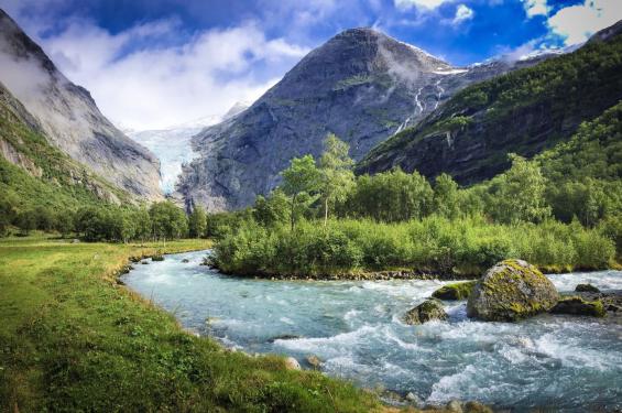 СУВ – ҲАЁТ МАНБАИ