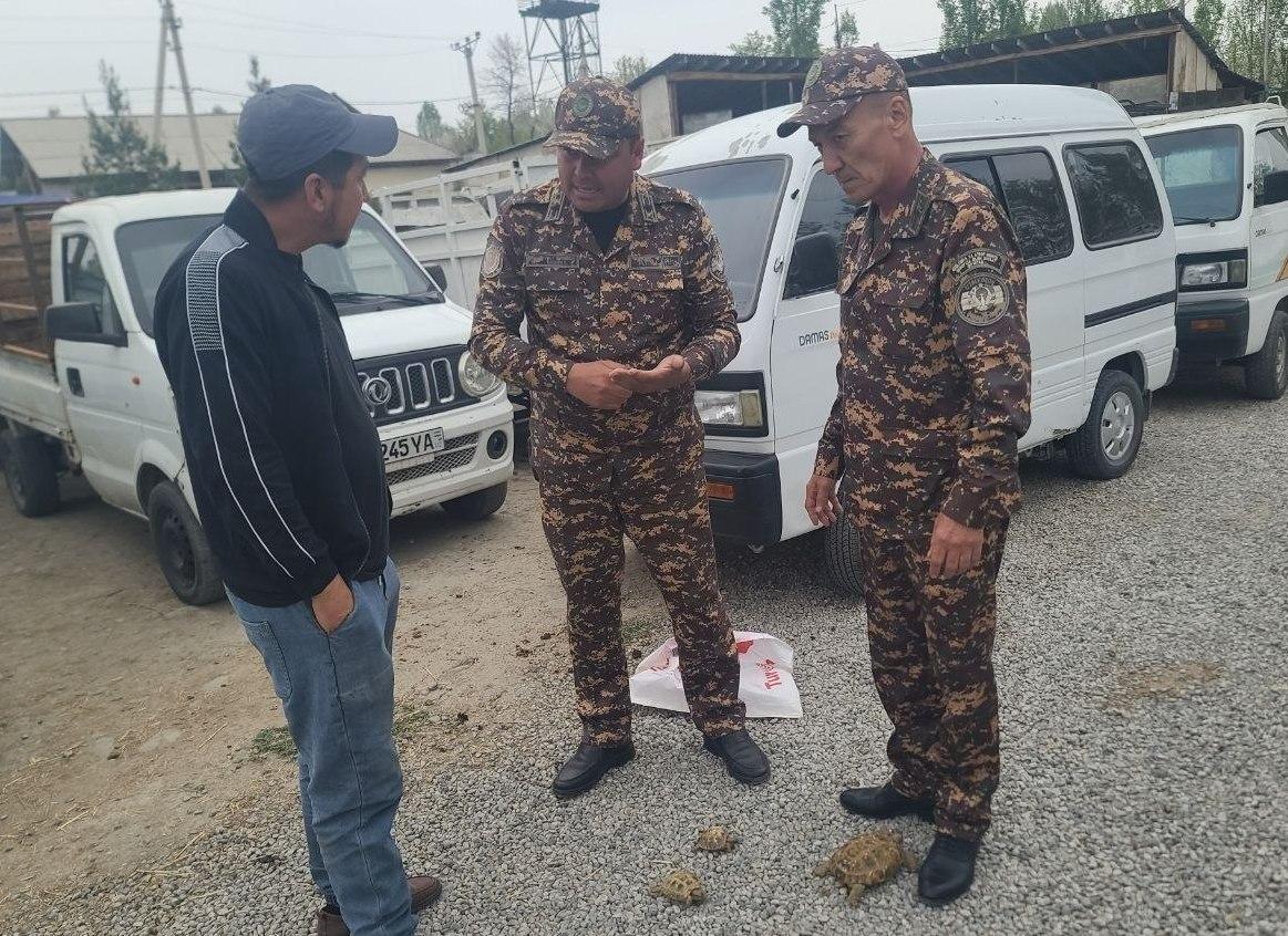 photo_2026-04-16_18-02-08