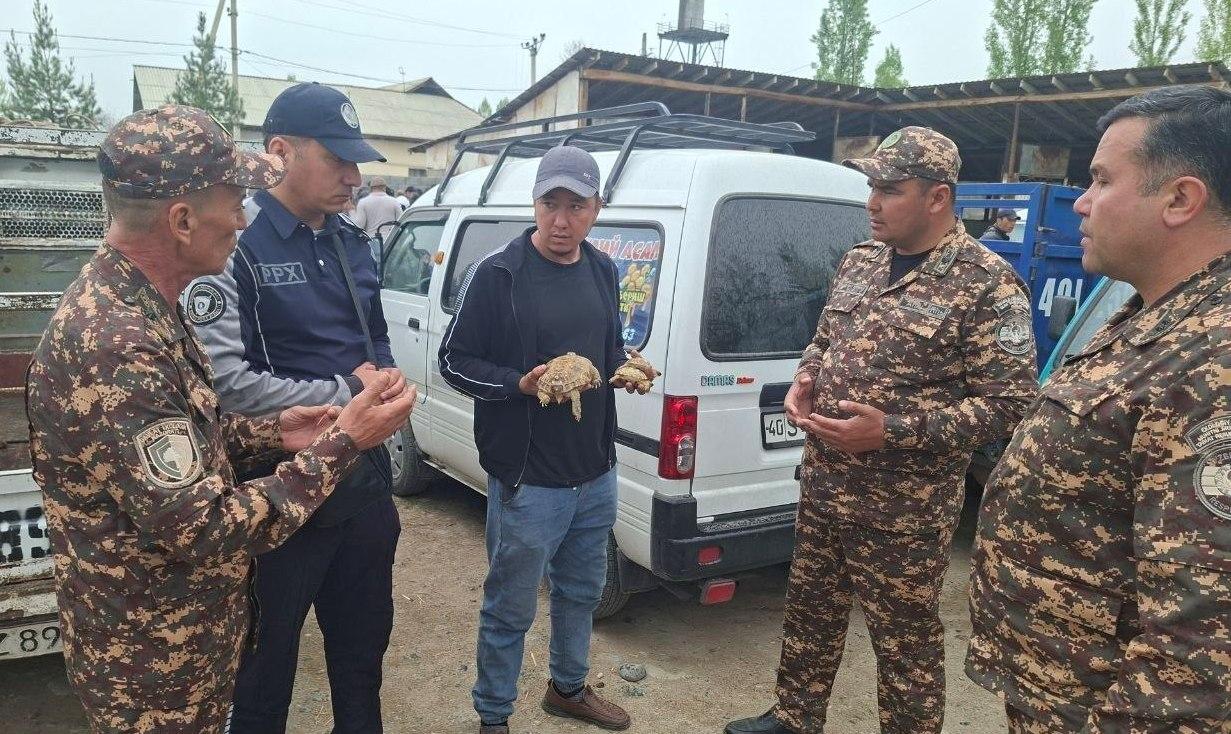 photo_2026-04-16_18-02-27