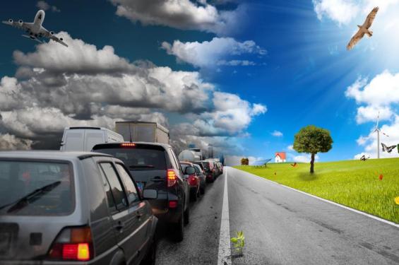 “ТОЗА ҲАВО” ОЙЛИГИ ТАДБИРЛАРИ