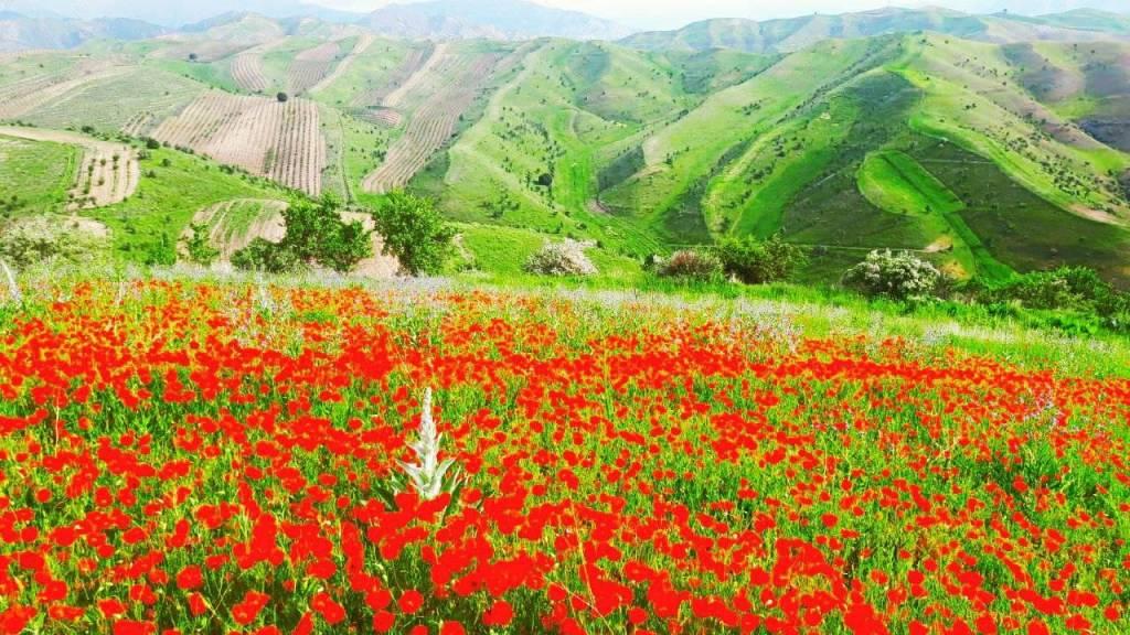 ZUQvRovVHN2KIMqF6HOjvY1WRWPkACjP_front